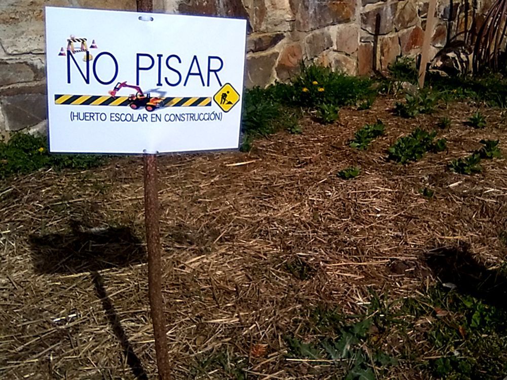 Sembrando igualdad Mis chicos E.B.O, nuestro huerto ecológico y un diploma