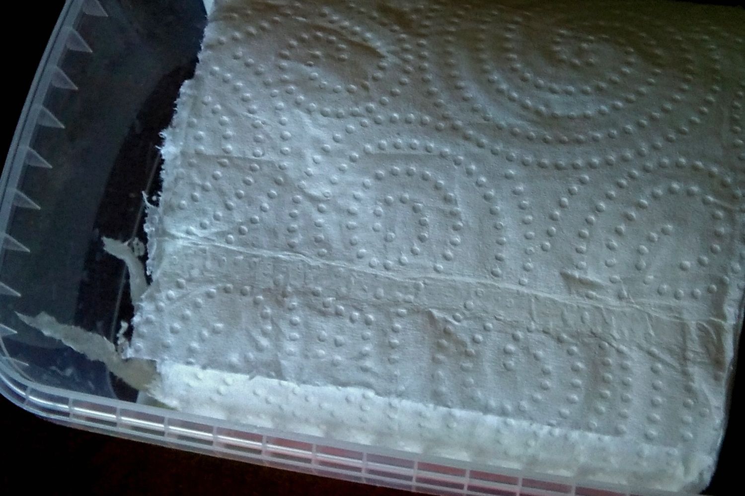 papel toallitas